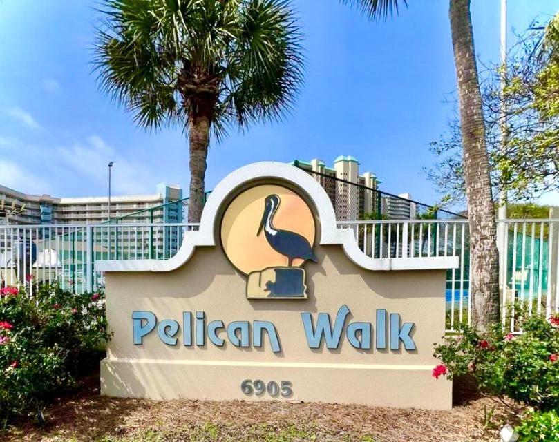 Pelican Walk 703